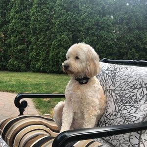 Meet your Posher, Julie